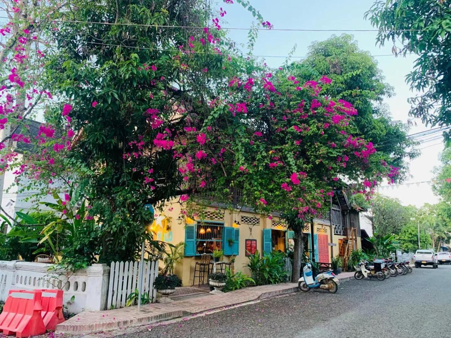 Wisdom Mystery Hotel Luang Prabang Dış mekan fotoğraf